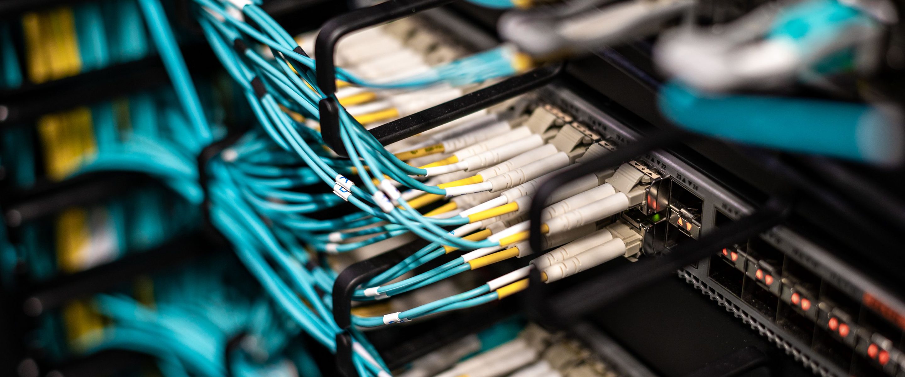 A dense patch field of terminated network cabling