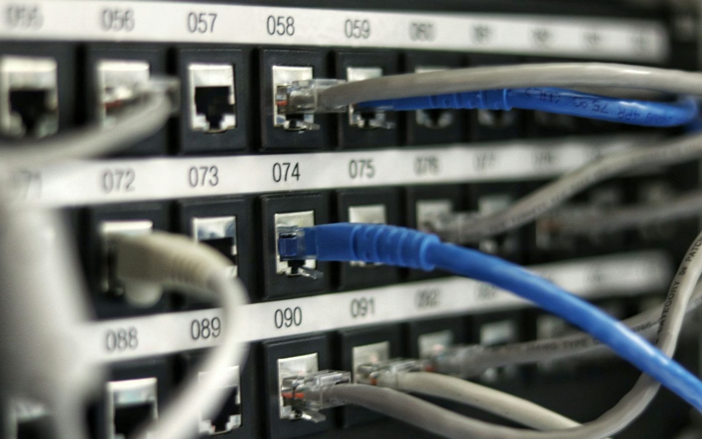 Close-up of a numbered patch panel with blue and grey patch cords